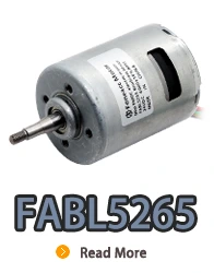 FABL5265 inner rotor brushless dc electric motor with inbuilt driver